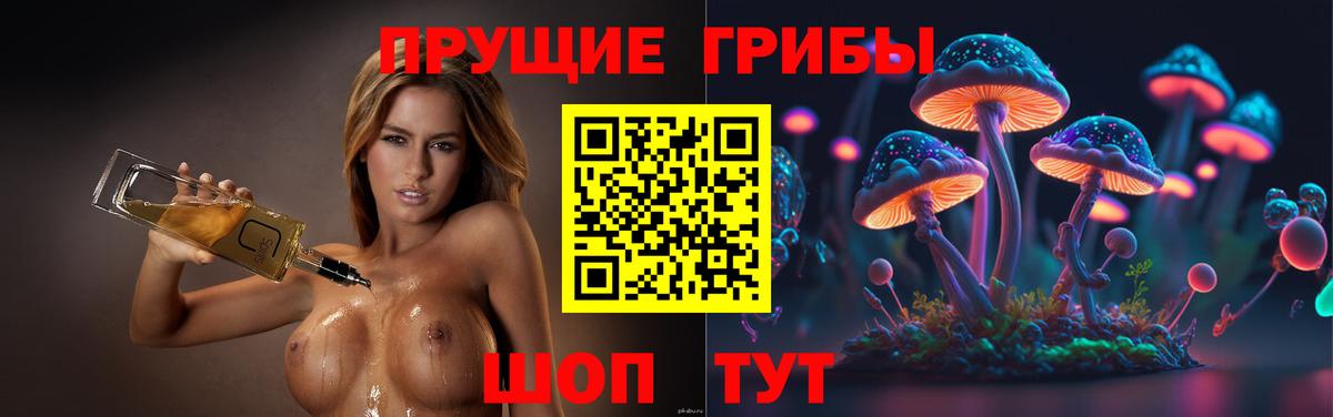 Похвистнево  Псилоцибиновые грибы ЛСД  Псилоцибиновые грибы Cubensis  Вход с VPN 